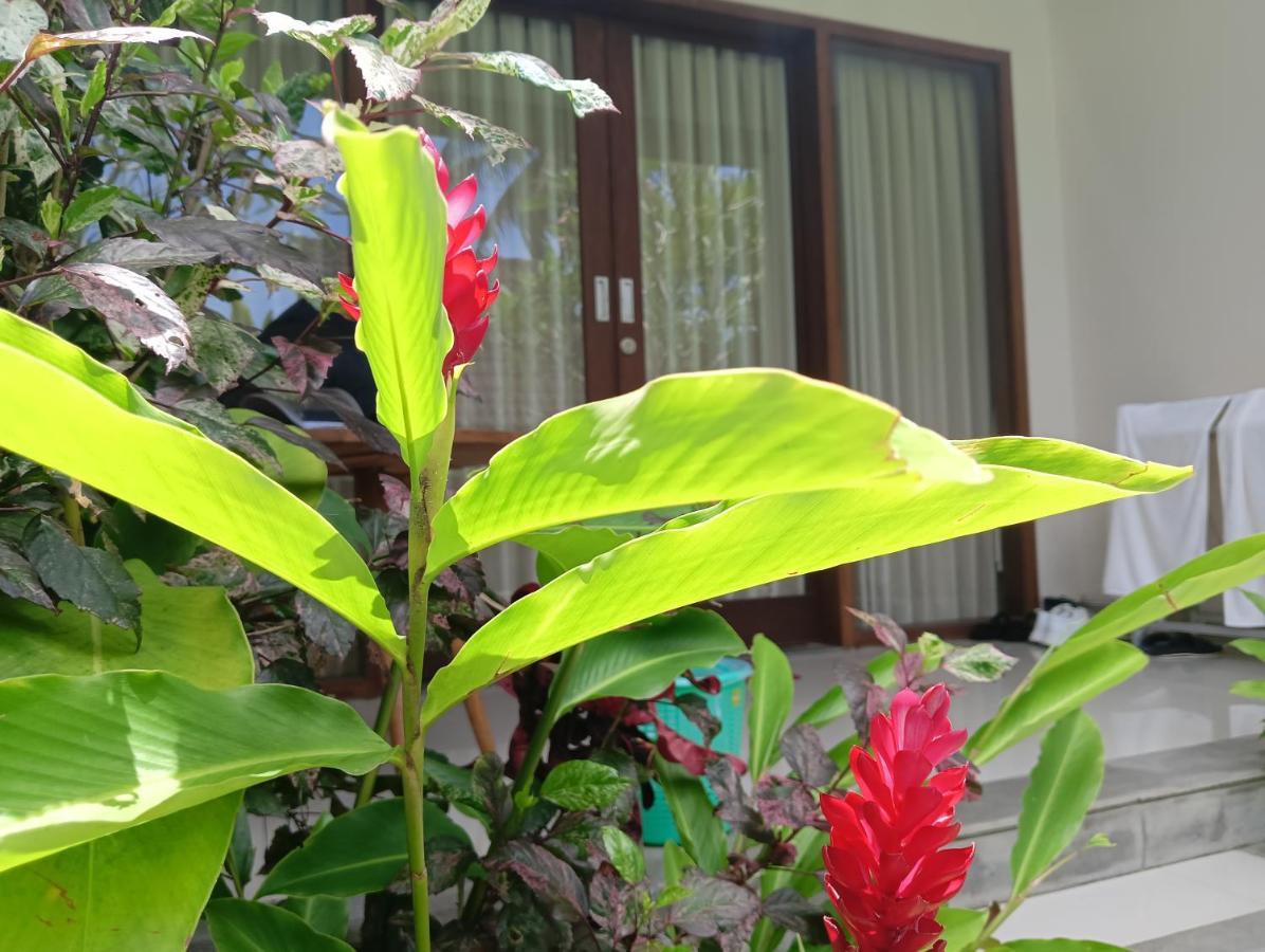 Kama Ayu Bungalow أوبود المظهر الخارجي الصورة