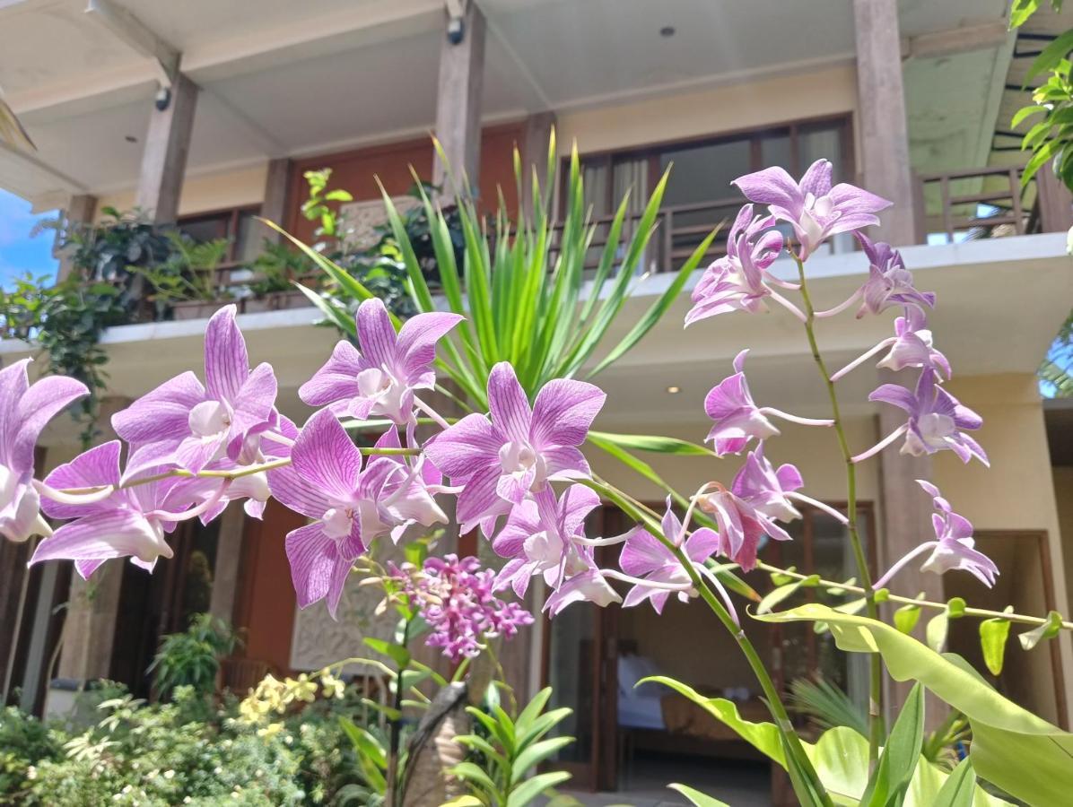 Kama Ayu Bungalow أوبود المظهر الخارجي الصورة